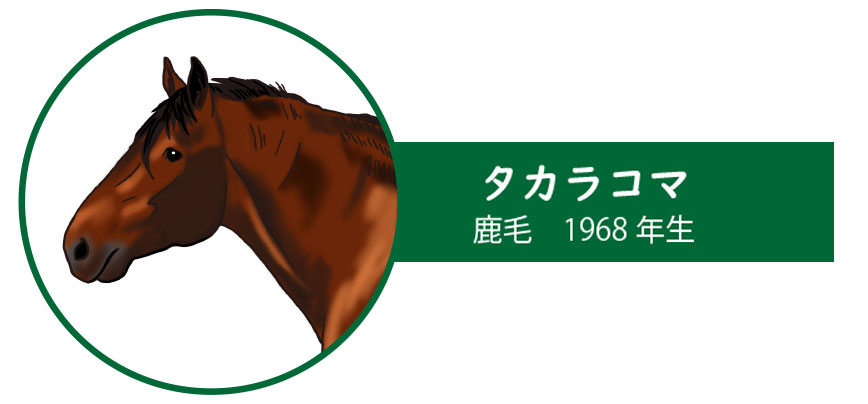 タカラコマ～名競走馬から名種牡馬へ。日輓種の確立に寄与した先駆者 | MAYU'S WORKS BANEI HORSE